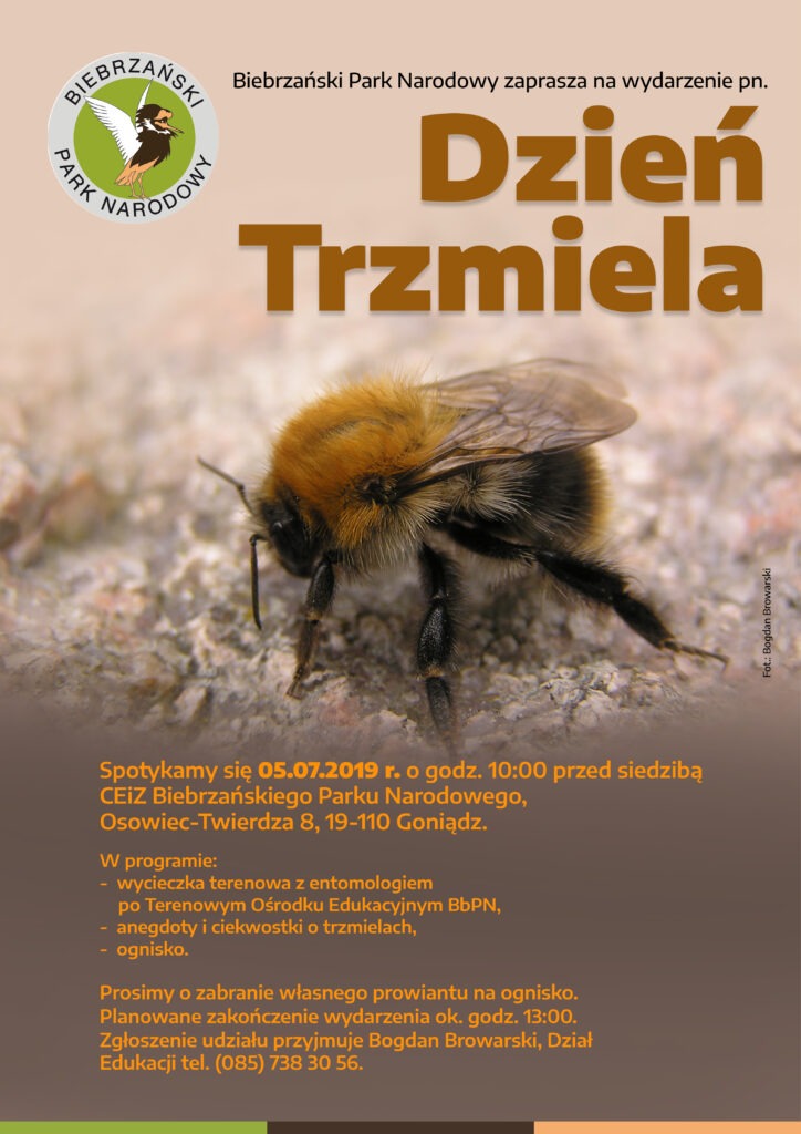 Zaproszenie na „Dzień Trzmiela” w Biebrzańskim Parku Narodowym
