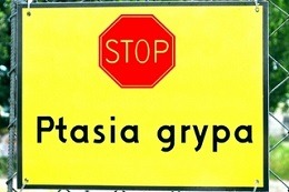 Informacja Wojewody Podlaskiego
