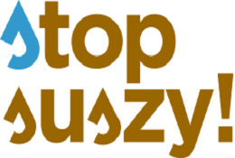 Zaproszenie na spotkanie w ramach konsultacji społecznych PPSS