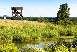Pisemny przetarg nieograniczony na dzierżawę nieruchomości