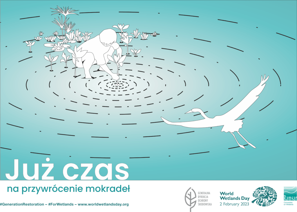 Obchody Światowego Dnia Mokradeł