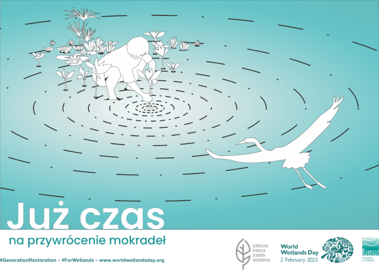 Obchody Światowego Dnia Mokradeł